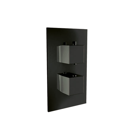 Scudo Mono Black Brassware Square Handled Dual & Triple Concealed Shower Valve (1 & 2 Outlets) - Brand New Bathrooms