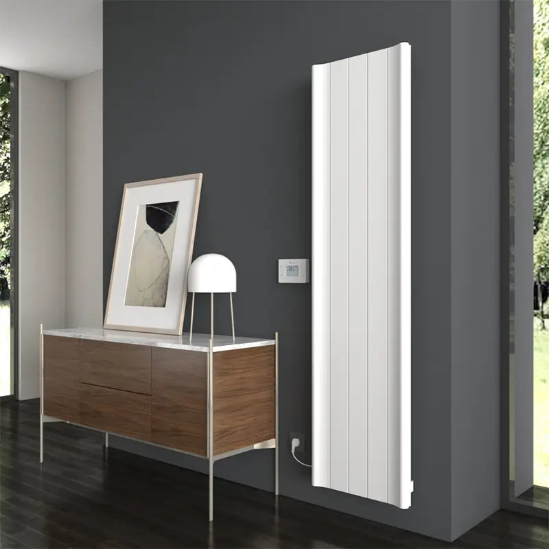 Carisa Boreas B Electric Radiator (4 Sizes) - Brand New Bathrooms