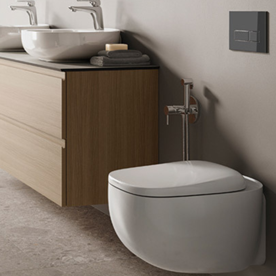 RAK Ceramics Illusion Wall Hung Toilet Pan (1 size, Alpine White)
