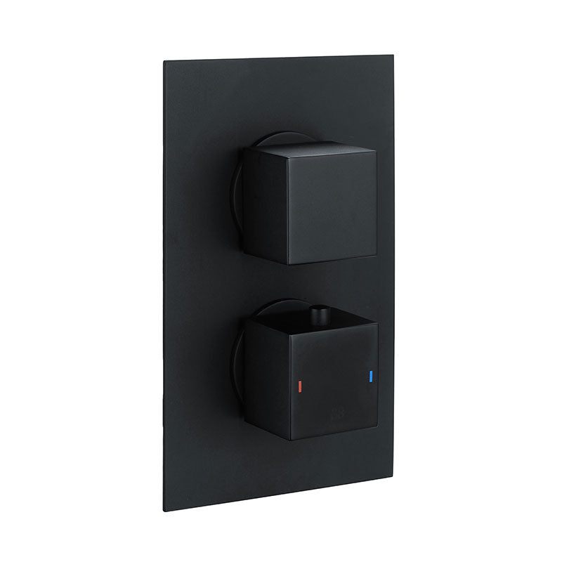 RAK Ceramics Dual Outlet; 2 Handle Thermostatic Concealed Shower Valve (1 size, 2 styles, 2 colours) - Brand New Bathrooms