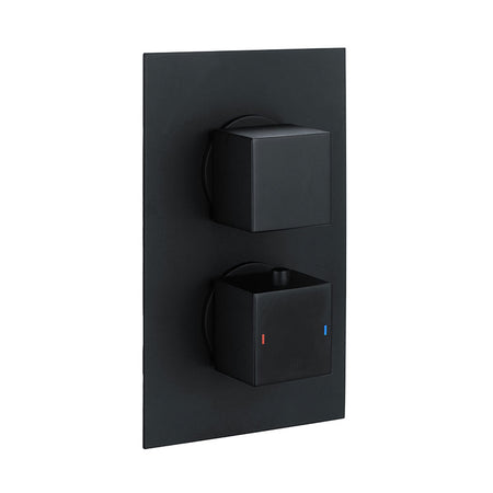 RAK Ceramics Dual Outlet; 2 Handle Thermostatic Concealed Shower Valve (1 size, 2 styles, 2 colours) - Brand New Bathrooms