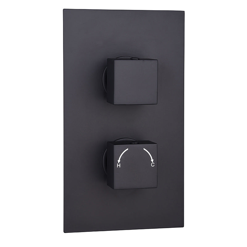 Tailored Bathrooms Concealed 2 Handle 2 Way Thermostatic Shower Valve (2 styles, Black) - Brand New Bathrooms