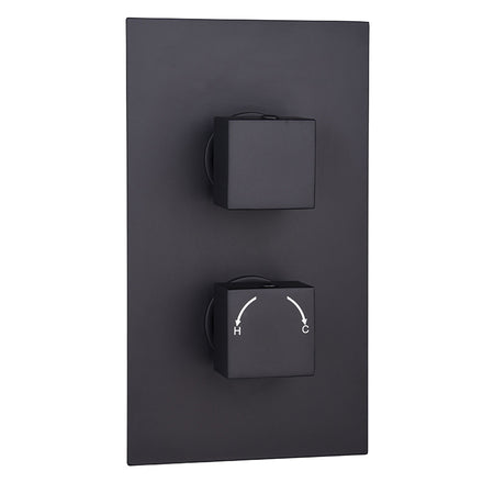 Tailored Bathrooms Concealed 2 Handle 2 Way Thermostatic Shower Valve (2 styles, Black) - Brand New Bathrooms