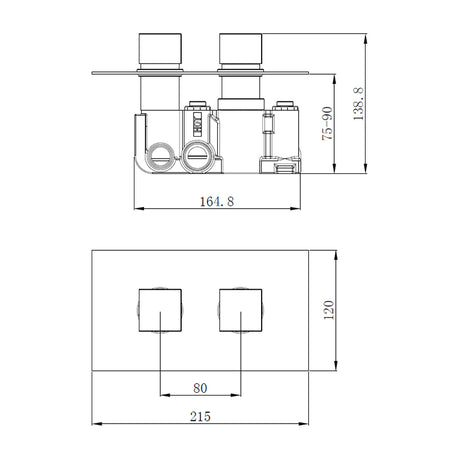 Tailored Bathrooms Concealed 2 Handle 2 Way Thermostatic Shower Valve (2 styles, Black) - Brand New Bathrooms