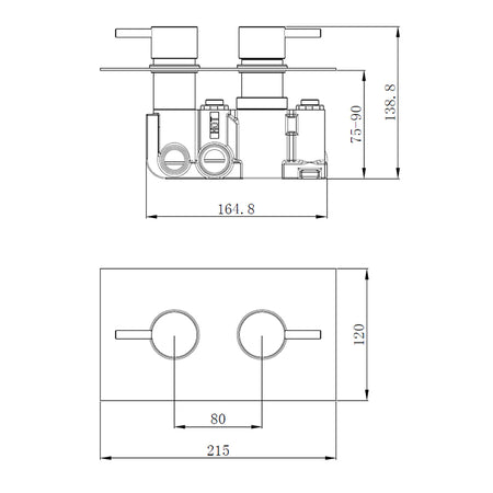 Tailored Bathrooms Concealed 2 Handle 2 Way Thermostatic Shower Valve (2 styles, Black) - Brand New Bathrooms