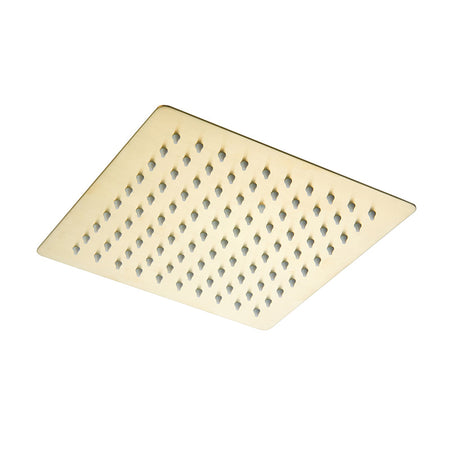 Tailored Bathrooms Stainless Steel Shower Head (2 styles, Brushed Brass) - Brand New Bathrooms