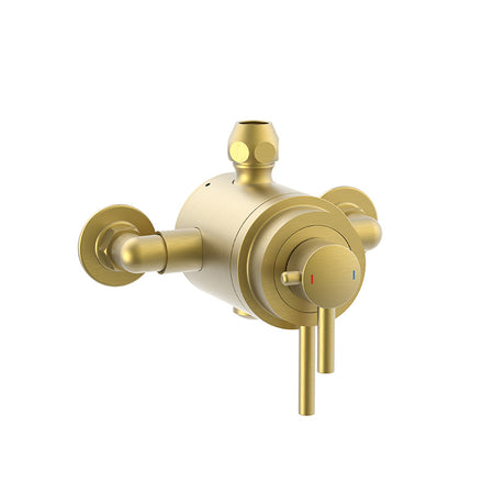 Tailored Bathrooms Conwy Concentric Exposed Thermostatic Mixer Valve (2 colours) - Brand New Bathrooms