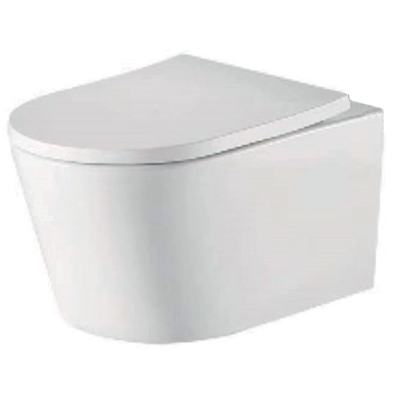 Tailored Bathrooms Ferrara Plus Wall Hung Rimless Back to Wall D Shape Toilet Pan, Seat & Fittings (1 size, White) - Brand New Bathrooms