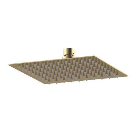 Nuie Fixed Shower Heads (2 sizes, 2 styles, Brushed Brass) - Brand New Bathrooms