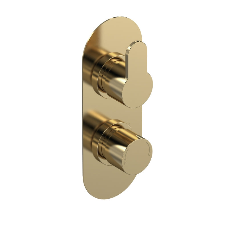 Nuie Arvan Twin Thermostatic Shower Valve (1 size, 4 colours) - Brand New Bathrooms
