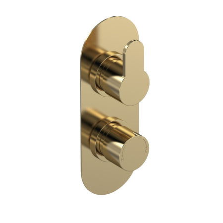 Nuie Arvan Twin Thermostatic Shower Valve With Diverter (1 size, 4 colours) - Brand New Bathrooms