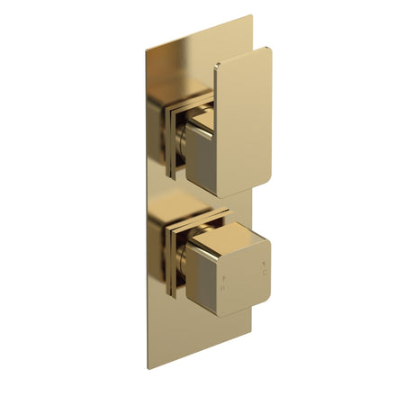 Nuie Windon Twin Thermostatic Shower Valve With Diverter (1 size, Brushed Brass) - Brand New Bathrooms