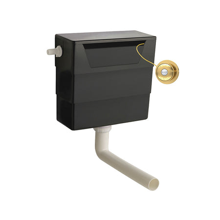Nuie Universal Access Toilet Cistern & Traditional Toilet Flush Plate (1 size, 3 colours) - Brand New Bathrooms