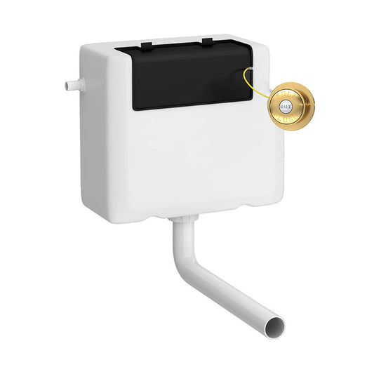 Nuie Universal Access Toilet Cistern & Traditional Flush Plate (1 size, 2 styles, Brushed Brass) - Brand New Bathrooms