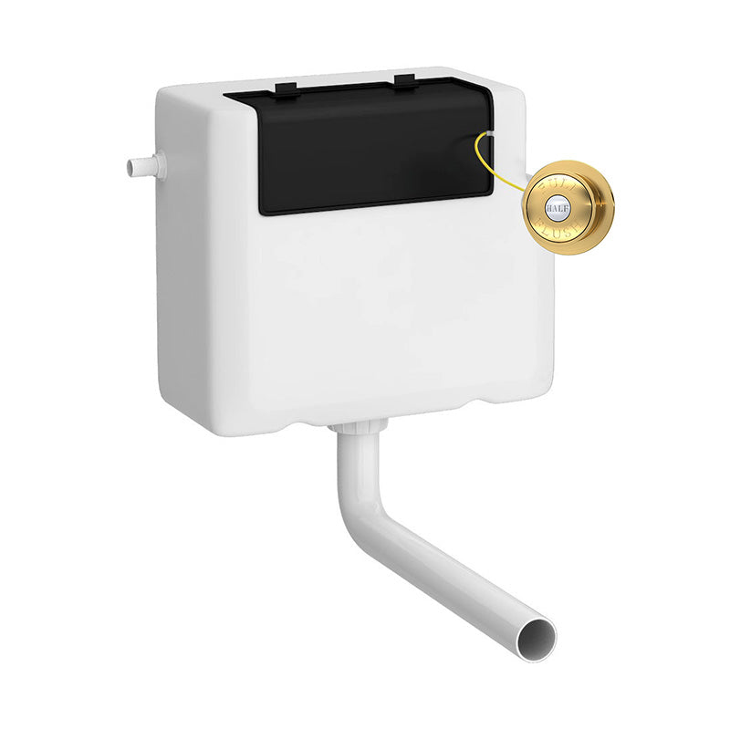 Nuie Universal Access Toilet Cistern & Traditional Flush Plate (1 size, 2 styles, Brushed Brass) - Brand New Bathrooms